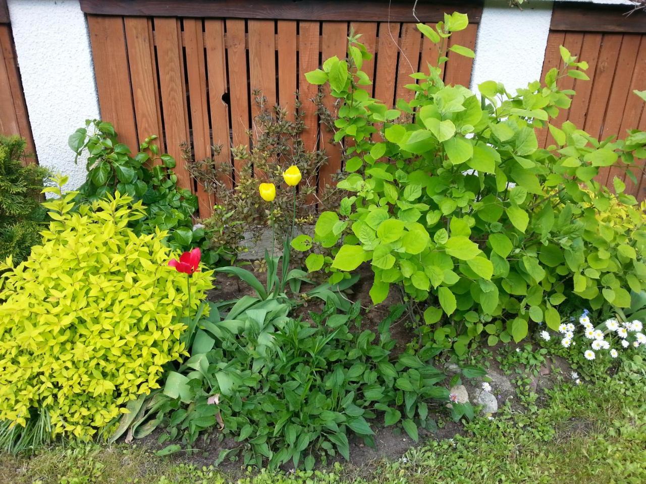 Cudodomek Na Mazurach W Woszczelach Kolo Elku Exterior foto
